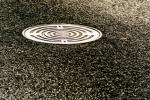  861  manhole.jpg